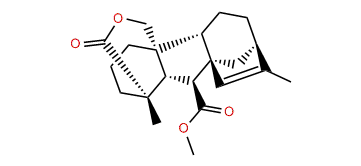 Gibberelline GA15-15,16-enemethyl ester